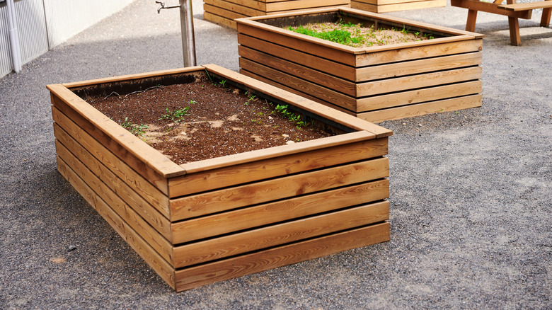 Planter bed on top of rocky gorund