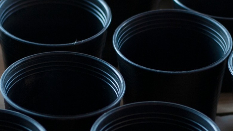 plstic pots on store shelves