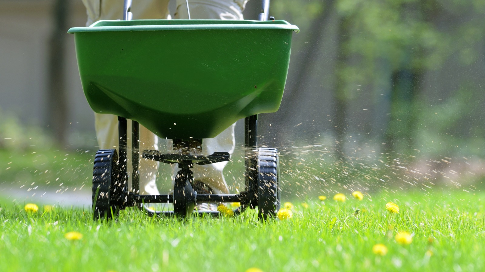 How To Use Sulfur Fertilizer For A Healthier Lawn