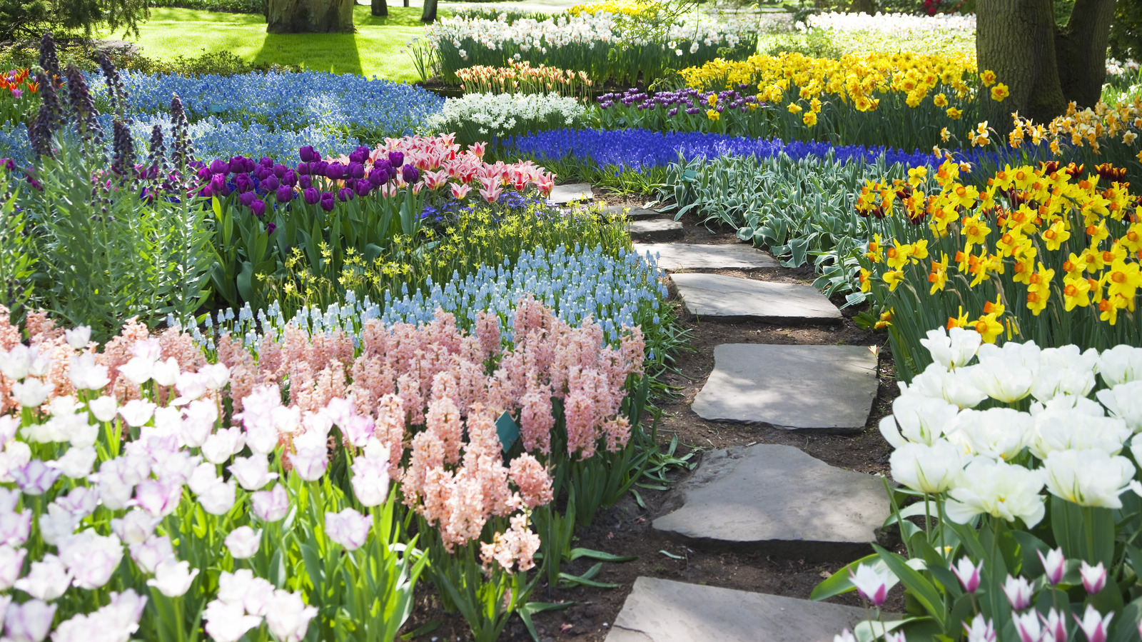 How To Use The Color Wheel To Design The Perfect Colorful Garden
