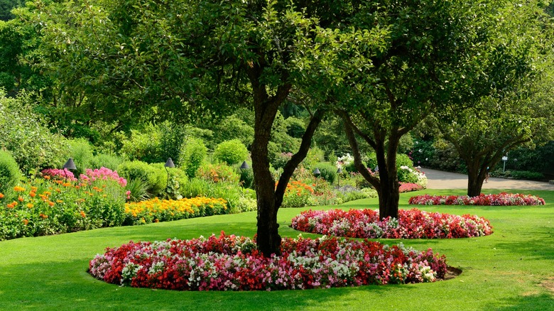 yard with flowers around trees