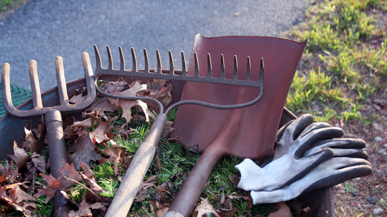 rusty garden tools