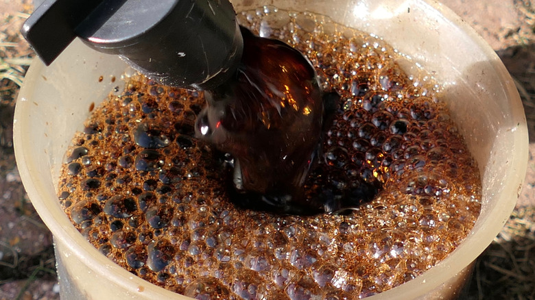 Worm tea flows from the tap at the base of a worm farm.