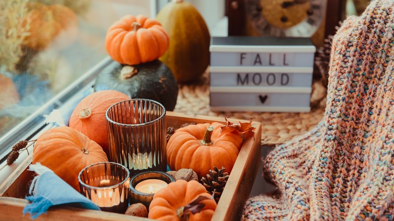 Pumpkins and fall decor