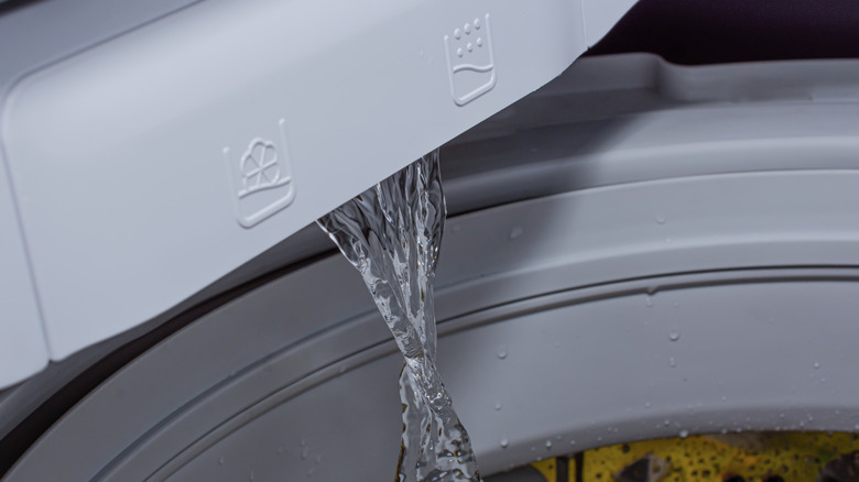 Fresh water pours from the dispenser in a washing machine into the drum.