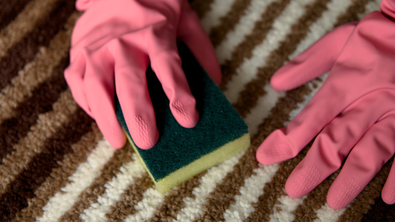 A person wearing pink rubber gloves using a sponge to blot a rug