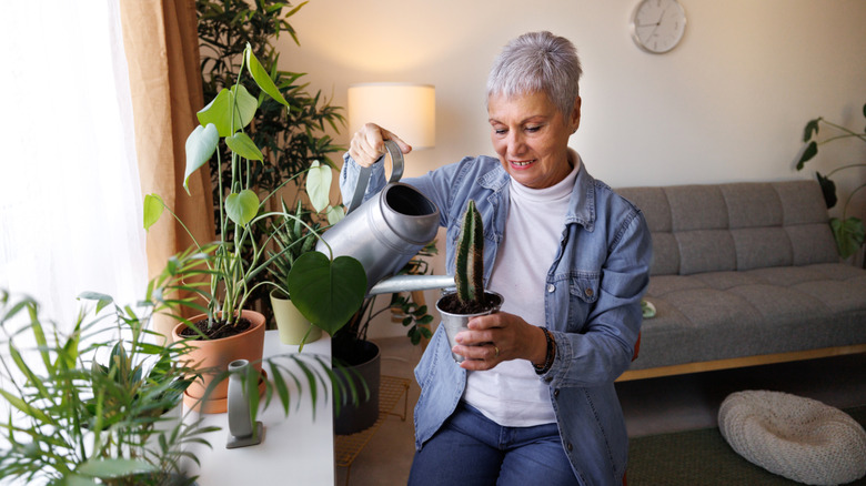 Woman watering a cactus indoors