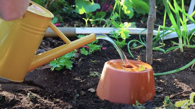 Watering can fills olla pot