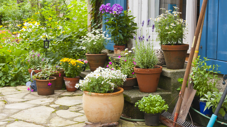 Patio with flowers and flower pots