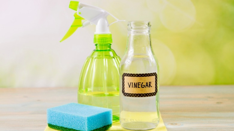 vinegar and cleaning supplies