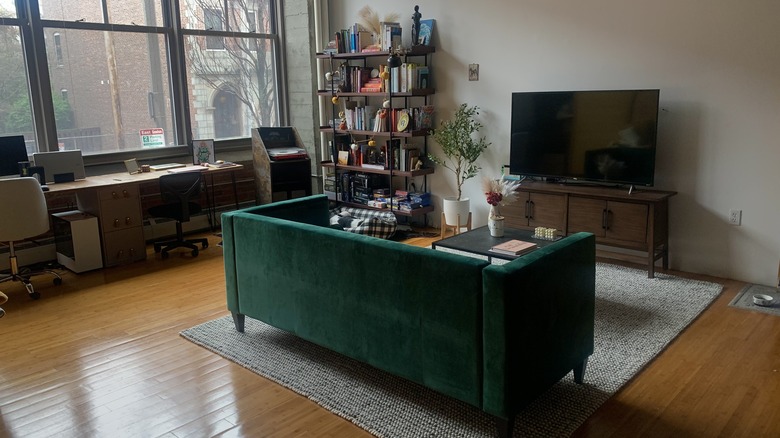 Newly designed living room