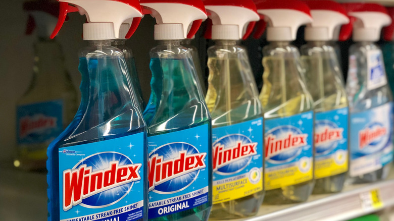 Bottles of Windex lined up on a store shelf