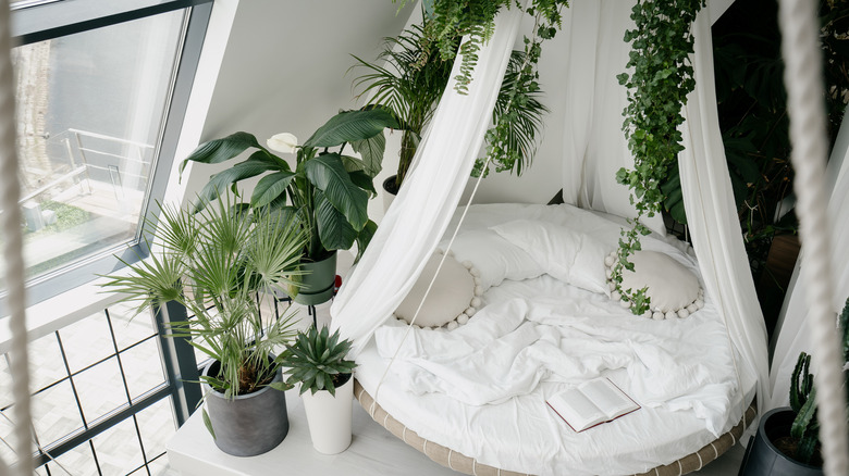 hanging plants over bed