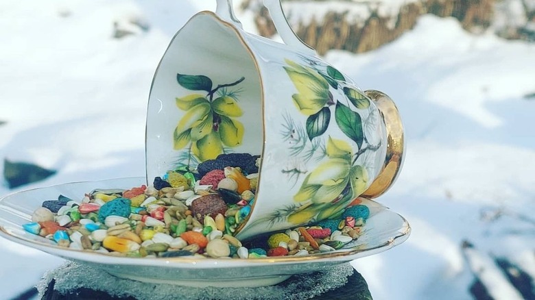 teacup bird feeder
