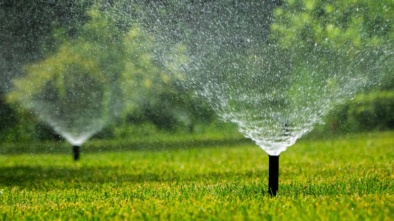 An irrigation system watering a lawn