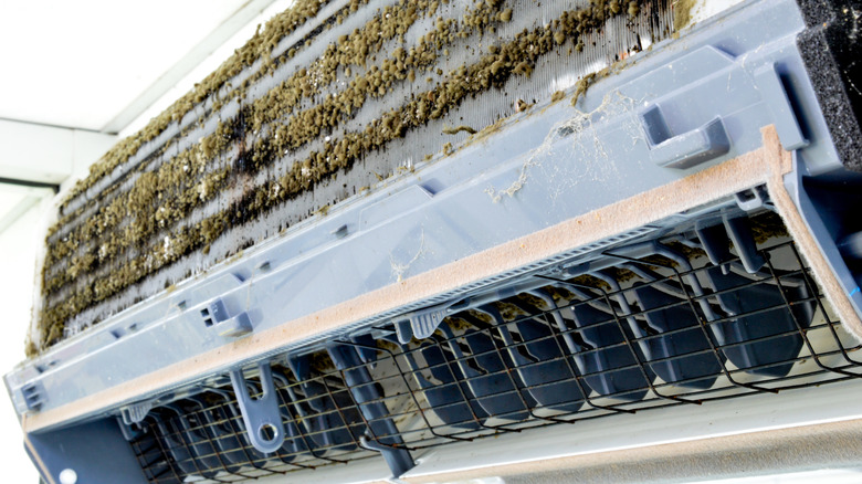 Mold growing on the inside of an air conditioner.