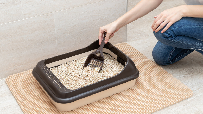 Woman cleaning litter box