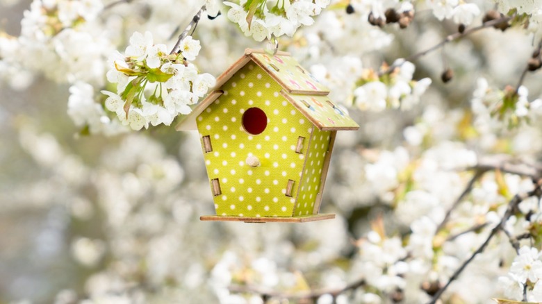 diy birdhouse