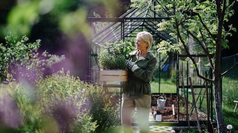 woman with plants