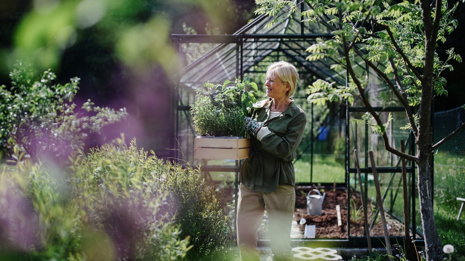 How Your Local Extension Service Can Help You Grow A Garden