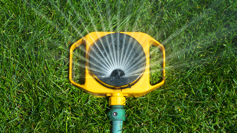 sprinkler watering grass