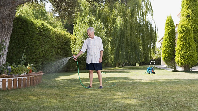 man watering lawn with hose