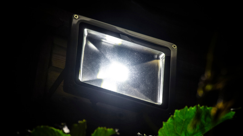 Floodlight in the garden 