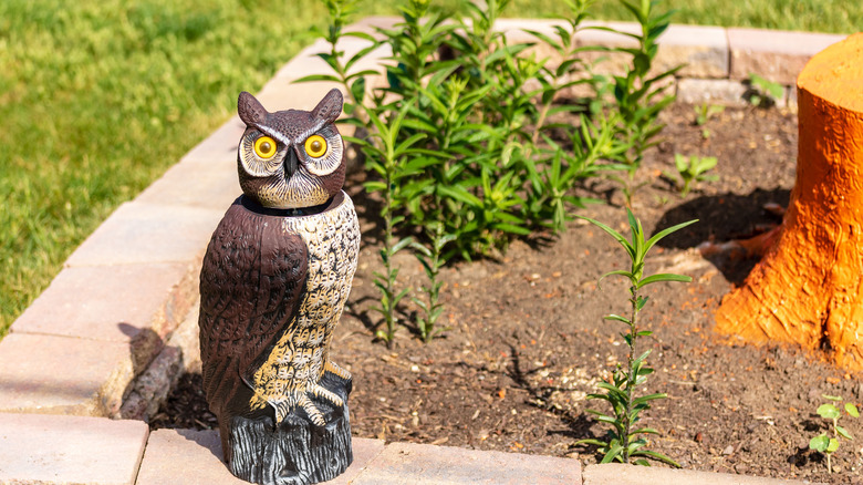 A fake owl 
