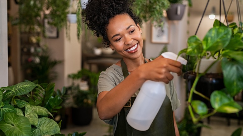 Woman spraying houseplants