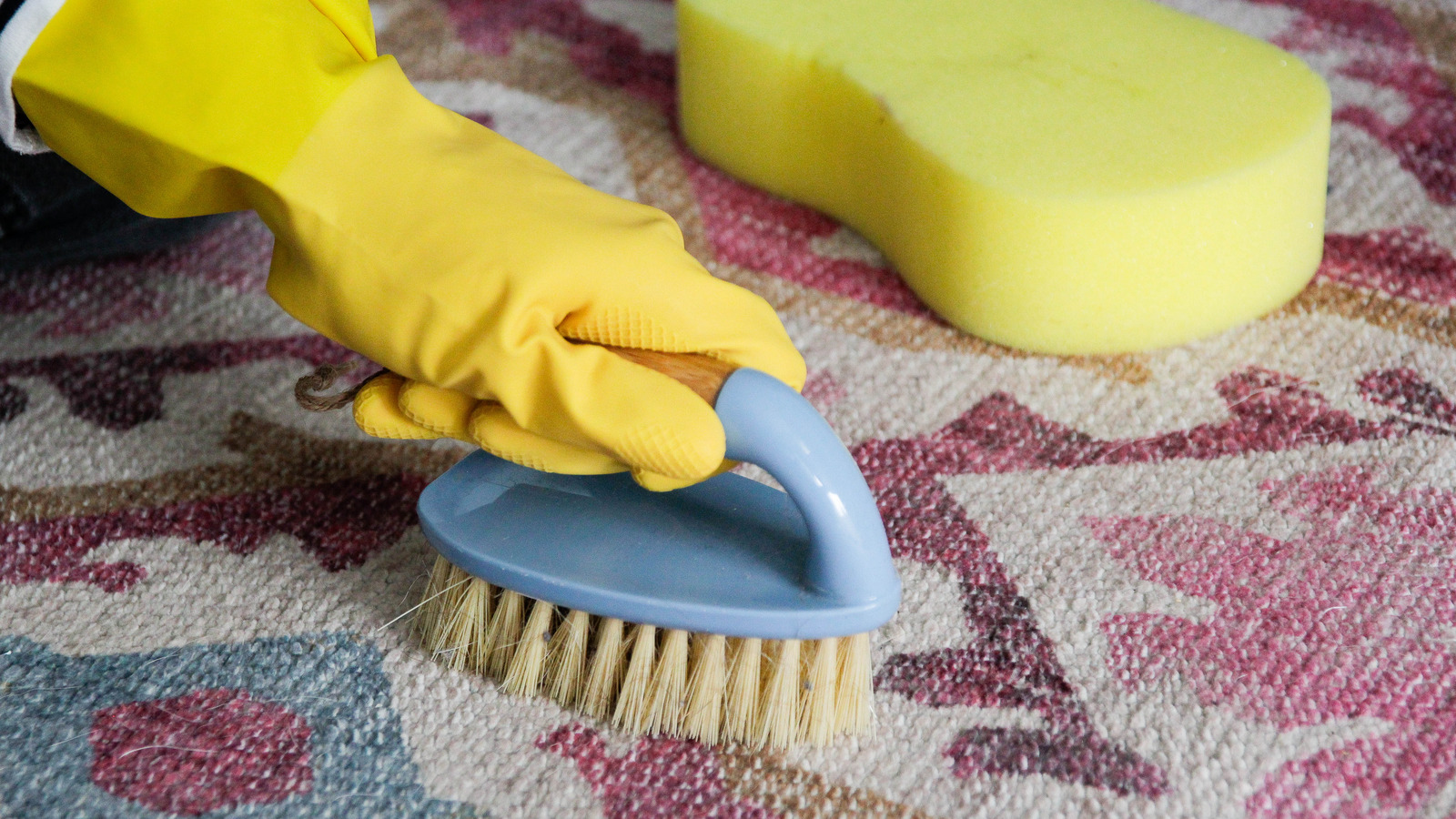 Hydrogen Peroxide Vs. Enzyme Cleaners Which One Cleans Best?