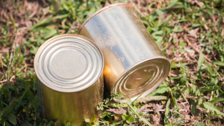 Two empty and unlabeled cans sitting on the grass outside in the sun