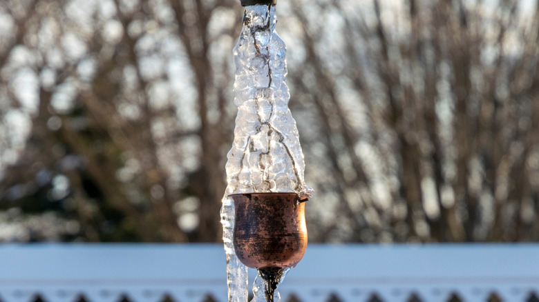 A cup-shaped rain chain with the chain and the cup frozen