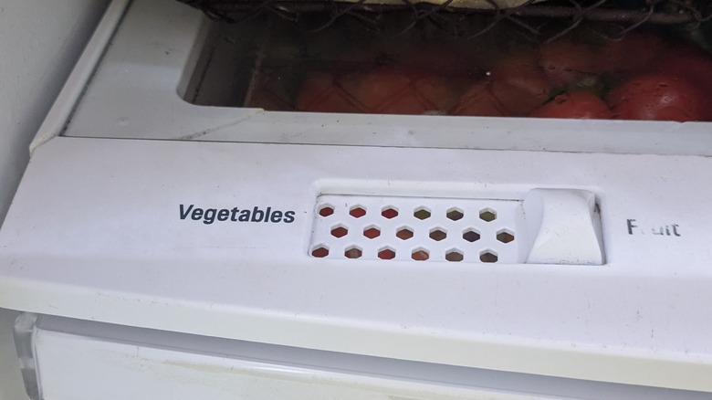 Cracks in the plastic shelf support in an LG fridge