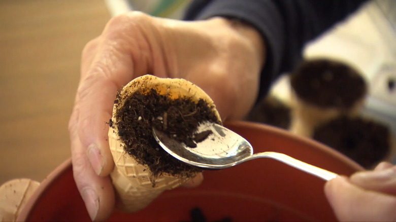 Someone packing soil into an ice cream cone