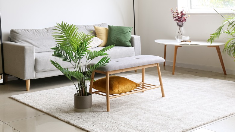 White carpet in living room