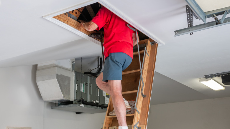 Man looking at attic