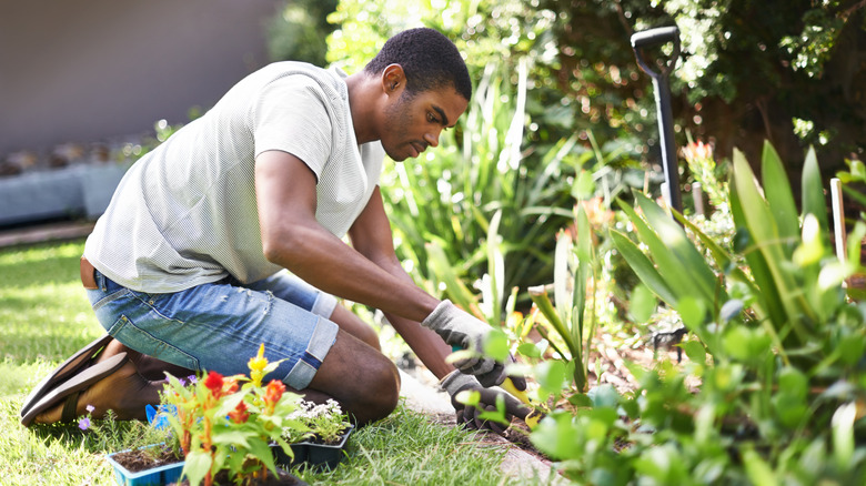 man working in garden