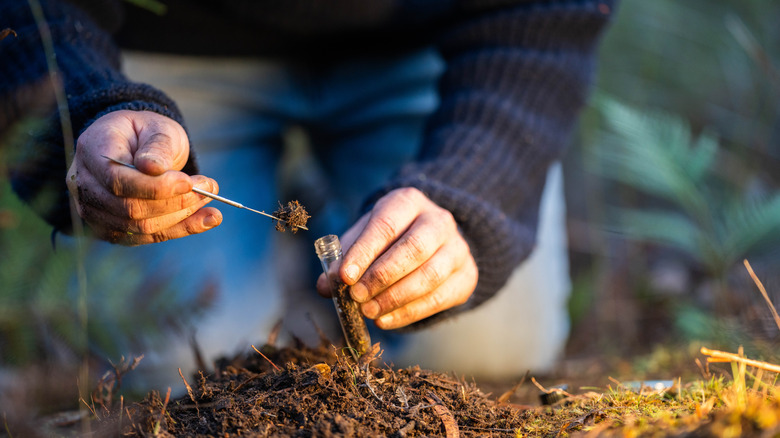 A person collecting sample for soil test