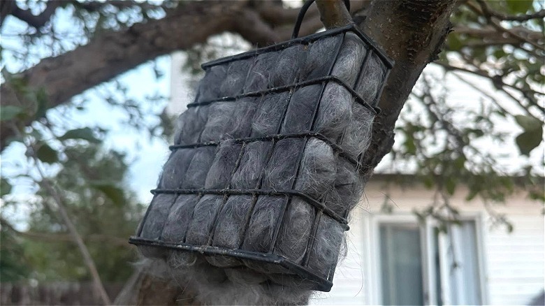 Rabbit fur in a suet cage for bird nesting material