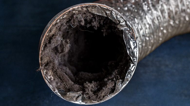 inside of dirty dryer hose