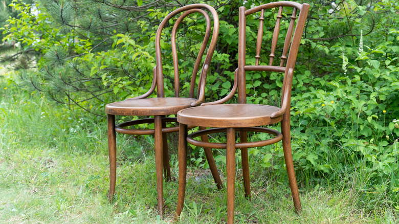 Two antique Thonet chairs sitting in front of green foliage.