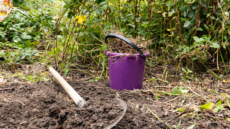 Digging up nettles in the garden