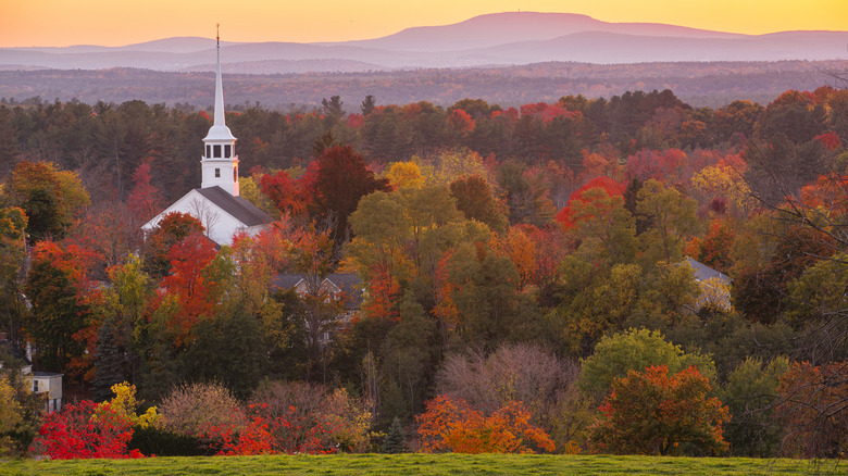 Church steeple among the fall foliage at sunset