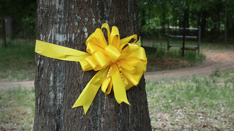 Yellow ribbon around a tree