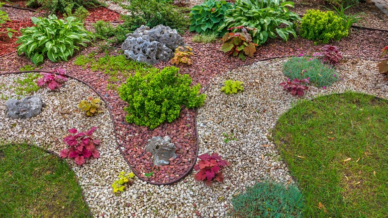 A landscaped yard with plants and gravel mulch