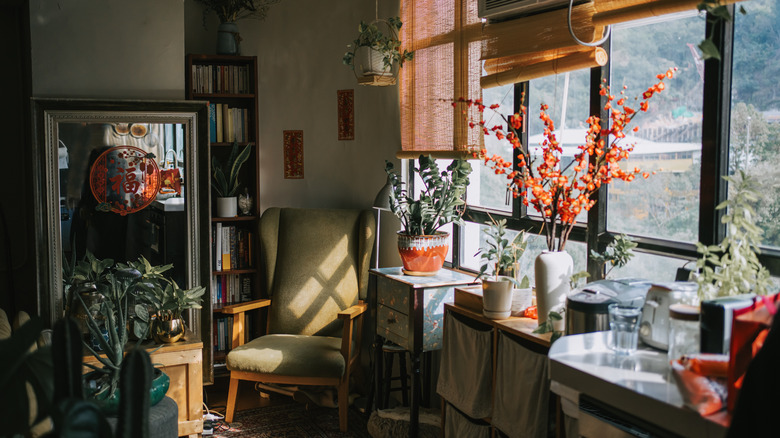 Houseplants growing near a big window in a low-light room of a home.