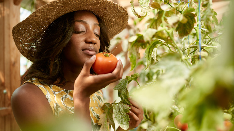 An African American woman sniffs a freshly picked tomato.