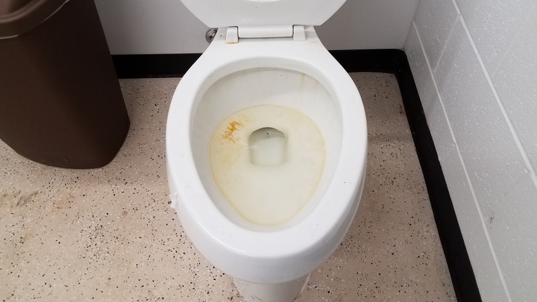 Stained toilet bowl