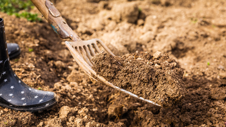 Person mixing soil with garden fork
