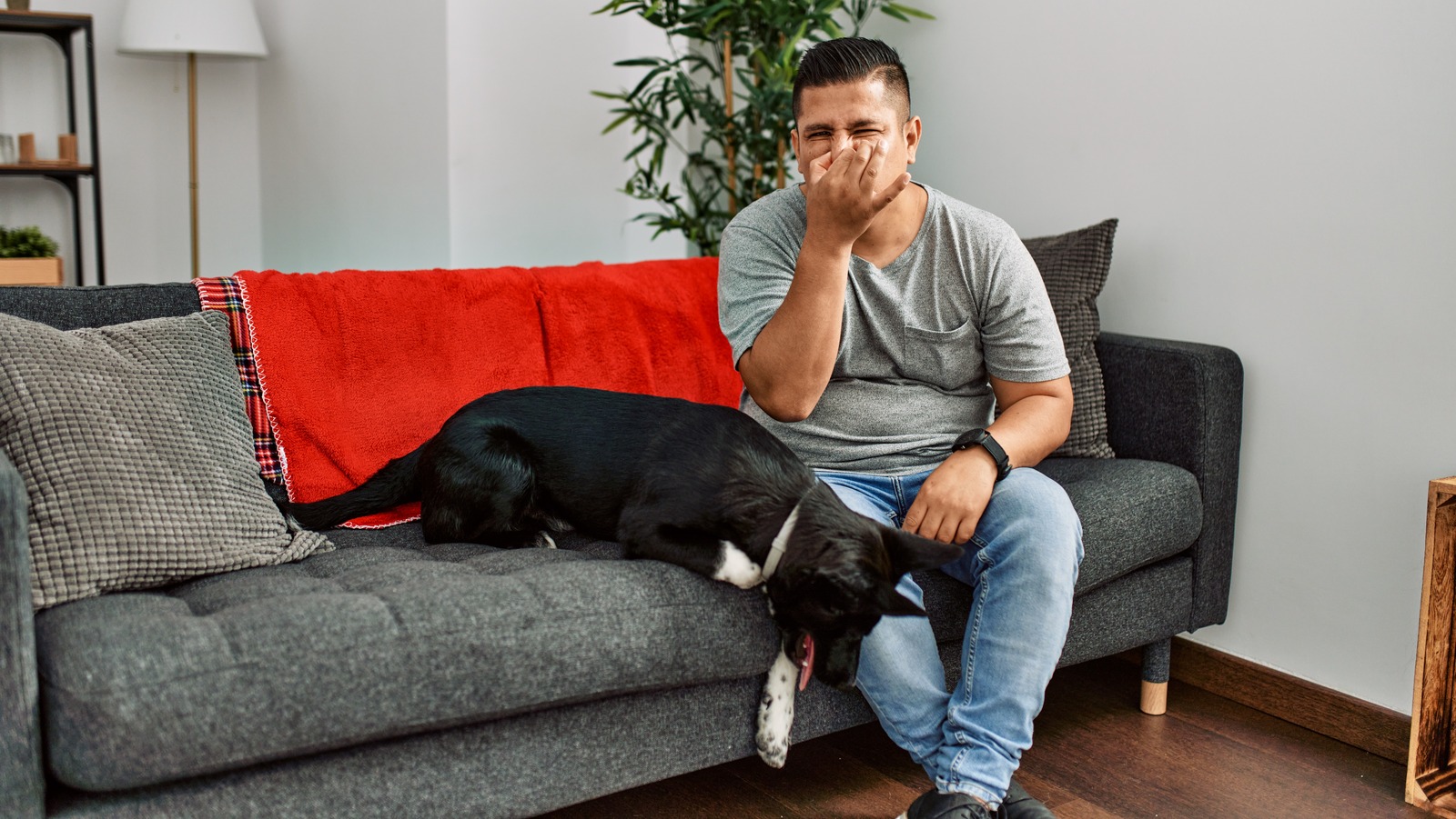 If Your House Smells Like Skunk, Two Handy Household Staples Will Do